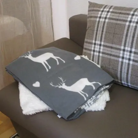 Ferienapartments Alte Knabenschule Apartment *